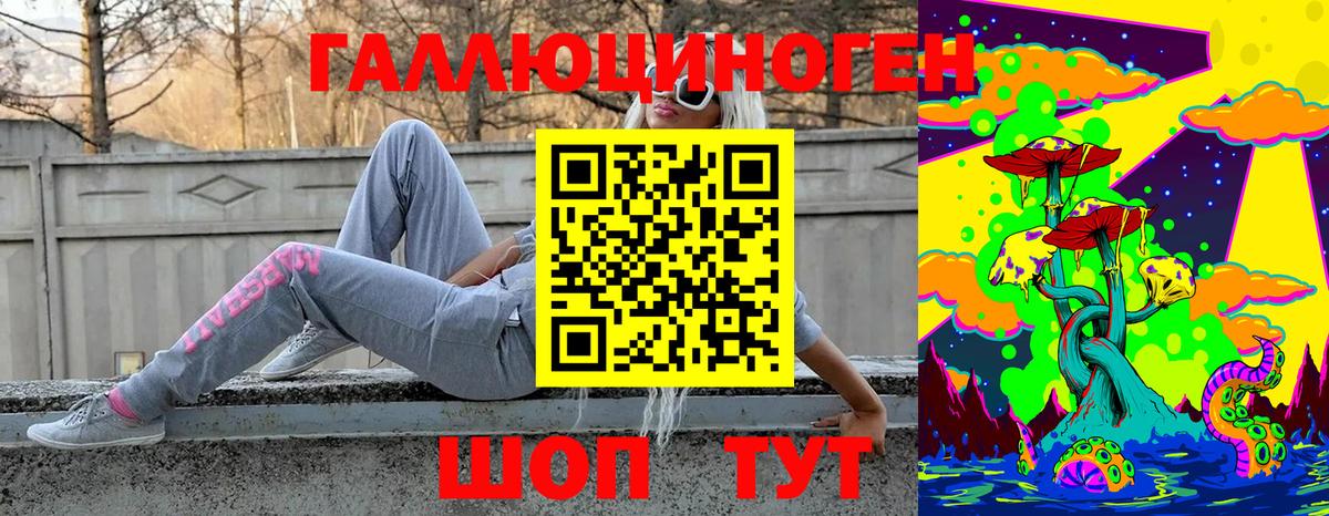 Галлюциногенные грибы Cubensis  Вход с VPN  Псилоцибиновые грибы прущие грибы  Артёмовский 